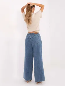 Pants-D80023BG62551M311-blue