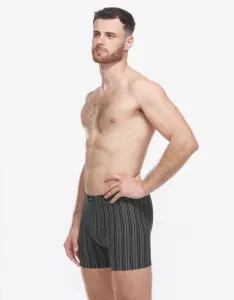 Pánske boxerky Gino viacfarebné (74183-MxCDxG) M, trenky