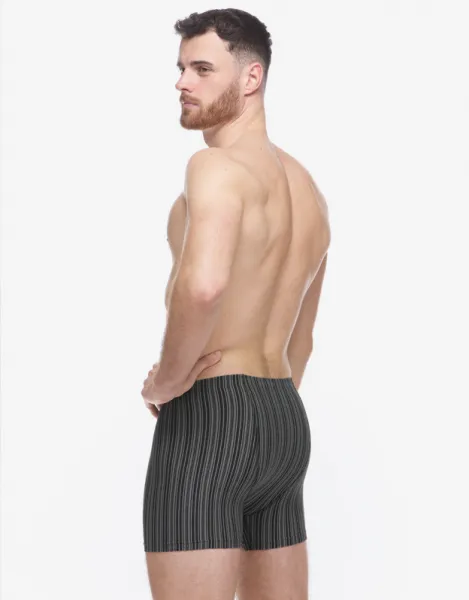 Pánske boxerky Gino viacfarebné (74183-MxCDxG) M, trenky