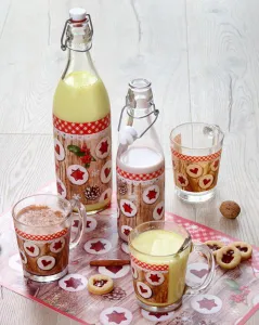 Termohrnček TORO 450 ml linecké