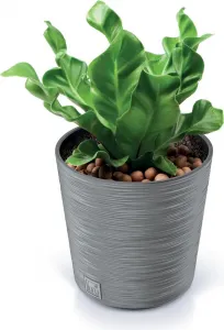 ProsperPlast Kvetináč FURU ROUND | betón 25 cm