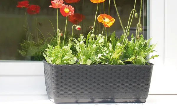 ProsperPlast Kvetináč RATOLLA  P | antracit 49,2 cm