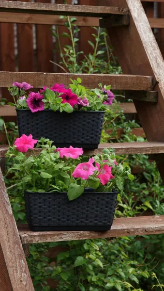 ProsperPlast Kvetináč RATOLLA  P | antracit 49,2 cm