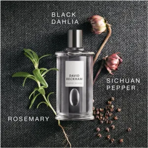 David Beckham Classic Homme toaletná voda pre mužov 100 ml