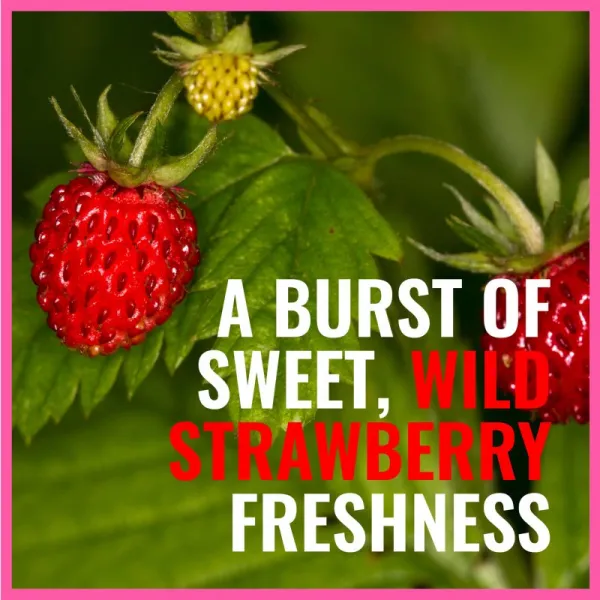 Dermacol Aroma Moment Wild Strawberries pena do kúpeľa cestovné balenie 2x15 ml