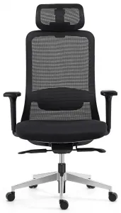 MERCURY Ergonomická kancelárska stolička VELTEA čierna
