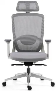 MERCURY Ergonomická kancelárska stolička ARTEA sivá