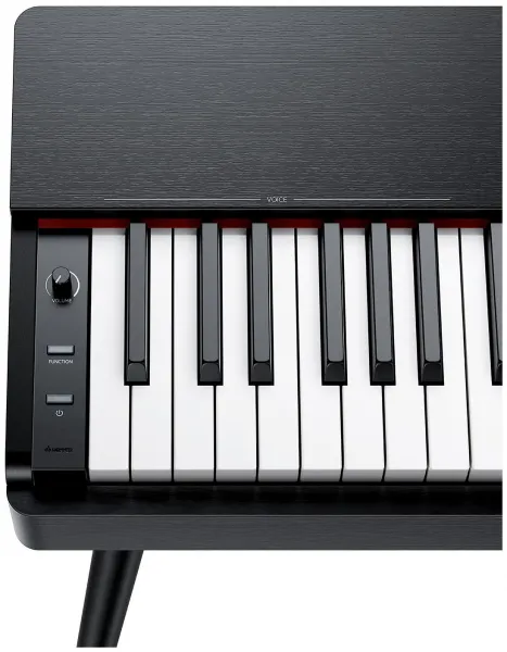 DONNER Oura S100