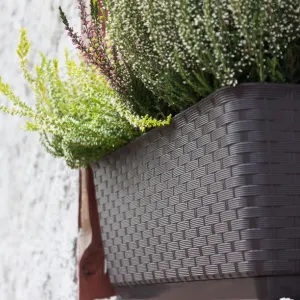 ProsperPlast Kvetináč RATOLLA CASE | umbra 48,9 cm