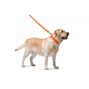 Ploché kožené vodítko oranžovej farby 122cm, šírka: 9 mm