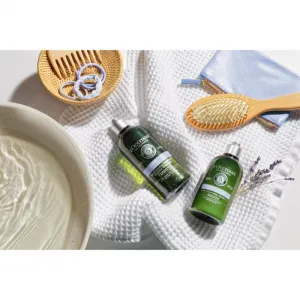 L’Occitane Gentle & Balance Conditioner jemný kondicionér pre všetky typy vlasov 250 ml