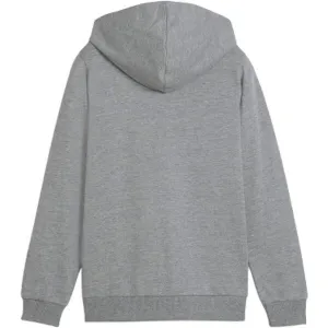 Puma TEAMGOAL CASUALS HOODED JACKET Chlapčenská mikina, sivá, veľkosť