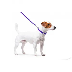 Ploché kožené vodítko fialovej farby 122cm, šírka: 12 mm