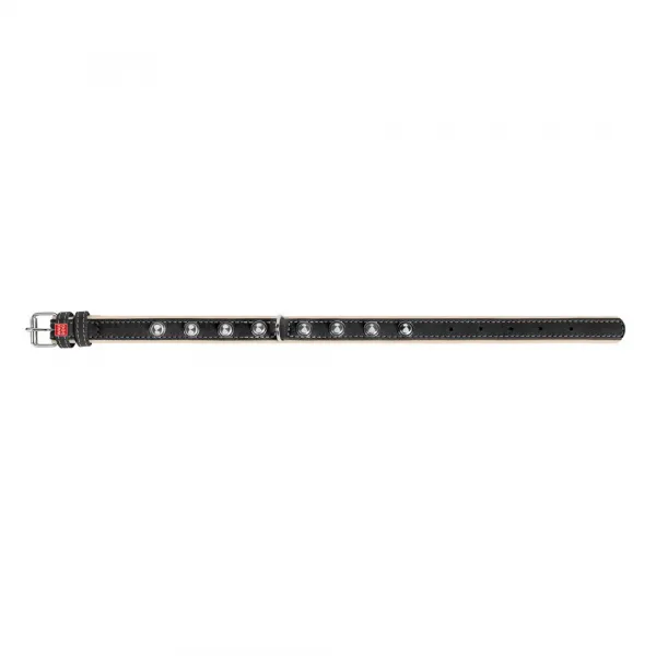 Plochý kožený obojok Soft s ostňami čierno béžový, Obvod krku: dĺžka: 46 - 60 cm, šírka: 35 mm