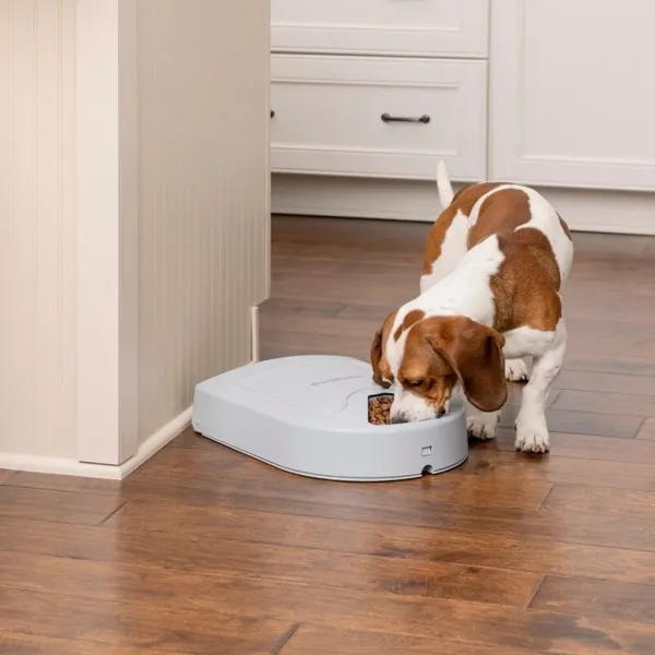 PetSafe®, 5-Meal Pet Feeder