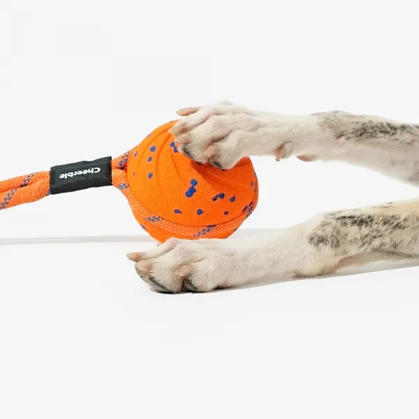 Cheerble Wicked Ball Air Rope