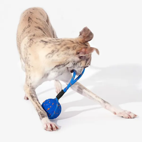Cheerble Wicked Ball Air Rope