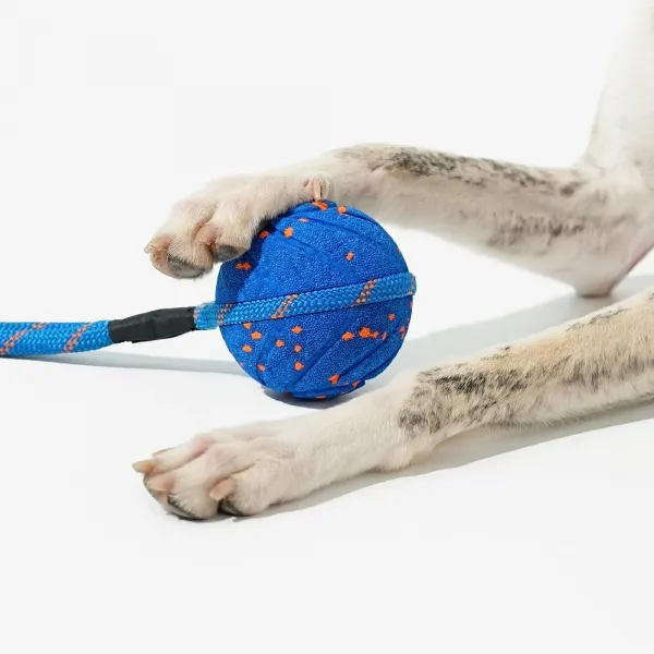 Cheerble Wicked Ball Air Rope