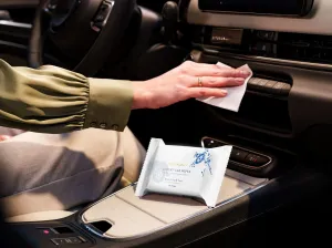 Amsterdam Collection Car Wipes