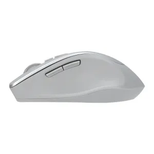 ASUS WT425/Ergonomická/Optická/Pro praváky/1 600 DPI/Bezdrátové USB/Stříbrná