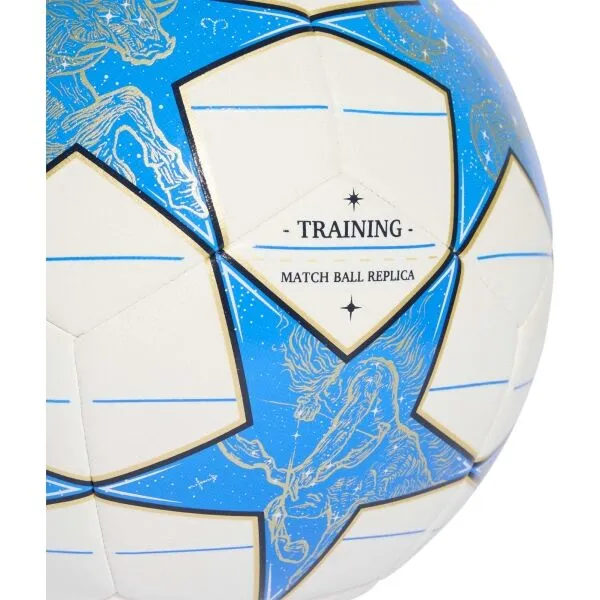 adidas UCL TRAINING Futbalová lopta, biela, veľkosť