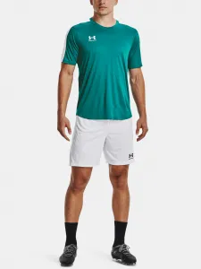 Pánske kraťasy Under Armour