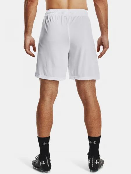 Pánske kraťasy Under Armour