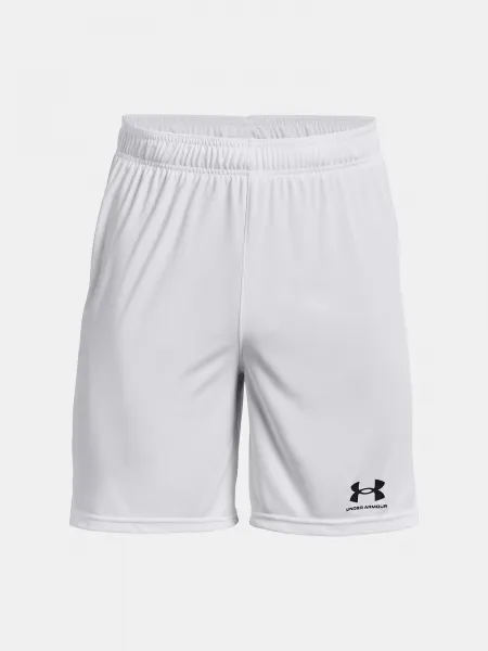 Pánske kraťasy Under Armour