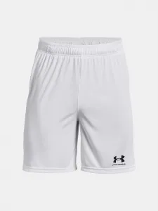 Pánske kraťasy Under Armour