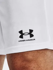 Pánske kraťasy Under Armour