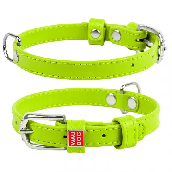 Plochý kožený obojok zelenej farby, Obvod krku: 46-60 cm, širka: 35 mm