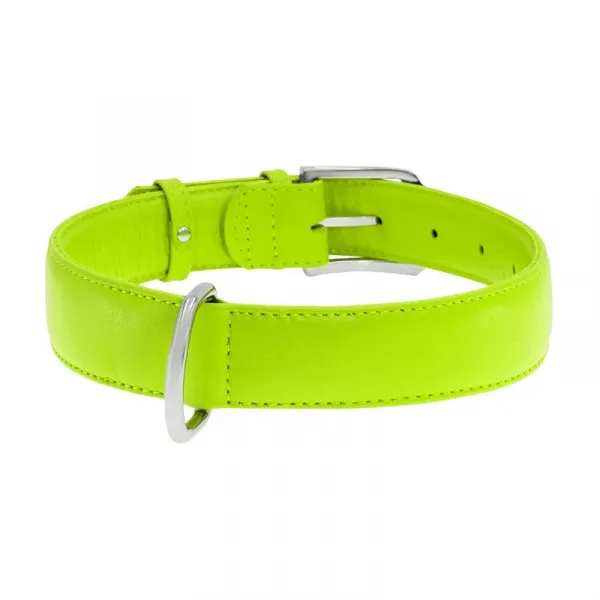 Plochý kožený obojok zelenej farby, Obvod krku: 46-60 cm, širka: 35 mm