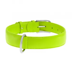 Plochý kožený obojok zelenej farby, Obvod krku: 46-60 cm, širka: 35 mm
