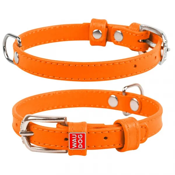 Plochý kožený obojok oranžovej farby, Obvod krku: 38-49 cm, širka: 25 mm