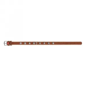 Plochý kožený obojok Soft s ostňami hnedo béžový, Obvod krku: dĺžka: 38 - 49 cm, šírka: 25 mm