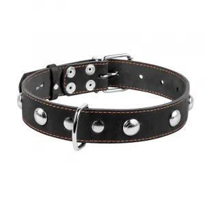 Kožený obojok s kovovou dekoráciou čierny, Obvod krku: 32-40 cm, šírka: 20 mm