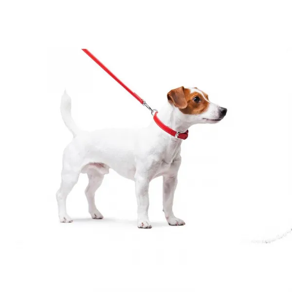 Ploché kožené vodítko červenej farby 122cm, šírka: 25 mm