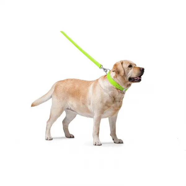 Ploché kožené vodítko zelenej farby 122cm, šírka: 18 mm