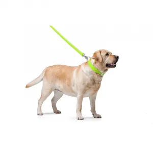 Ploché kožené vodítko zelenej farby 122cm, šírka: 18 mm