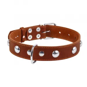 Kožený obojok s kovovou dekoráciou hnedý, Obvod krku: 32-40 cm, šírka: 20 mm