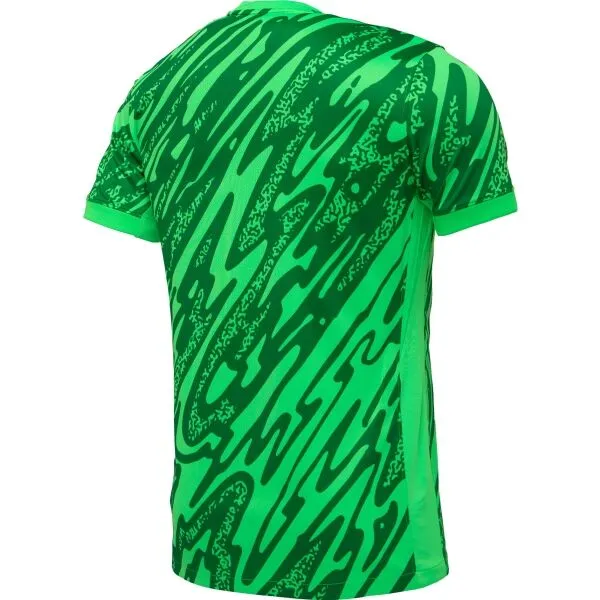Nike DRI-FIT GARDIEN JERSEY Pánsky brankársky dres, tmavo zelená, veľkosť