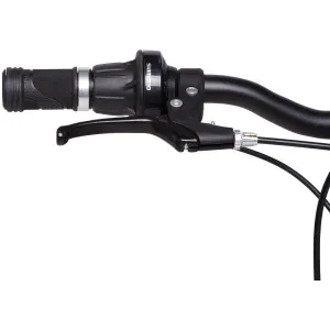 Arcore SPARROW 24 Ultra ľahké 24" detské bicykel, strieborná, veľkosť 24" (125-150 cm)