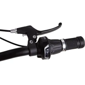 Arcore SPARROW 24 Ultra ľahké 24" detské bicykel, strieborná, veľkosť 24" (125-150 cm)