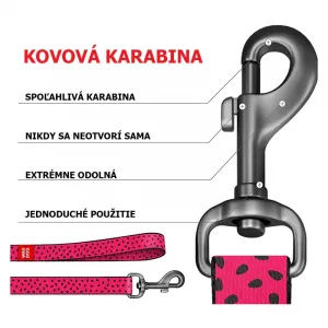 Nylonové vodítko melónové 122cm, Veľkosť: M
