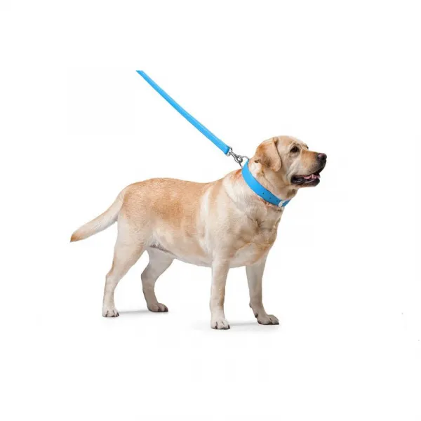 Ploché kožené vodítko modrej farby 122cm, šírka: 12 mm