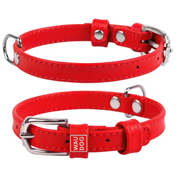 Plochý kožený obojok červenej farby, Obvod krku: 21-29 cm, širka: 12 mm
