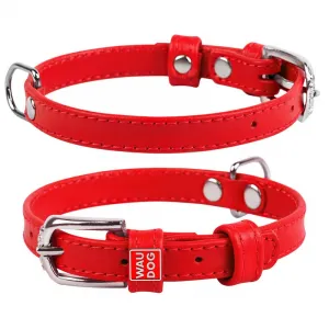 Plochý kožený obojok červenej farby, Obvod krku: 21-29 cm, širka: 12 mm