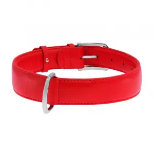 Plochý kožený obojok červenej farby, Obvod krku: 21-29 cm, širka: 12 mm