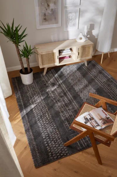 Koberec RAGOLLE Argentum 63857 3293
