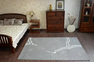 Dywany Lusczow Kusový koberec AKRYLOVÝ PATARA 0077 D.Sand/sivý, veľkosť 80x150